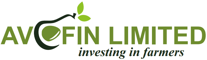 MICROFES Logo